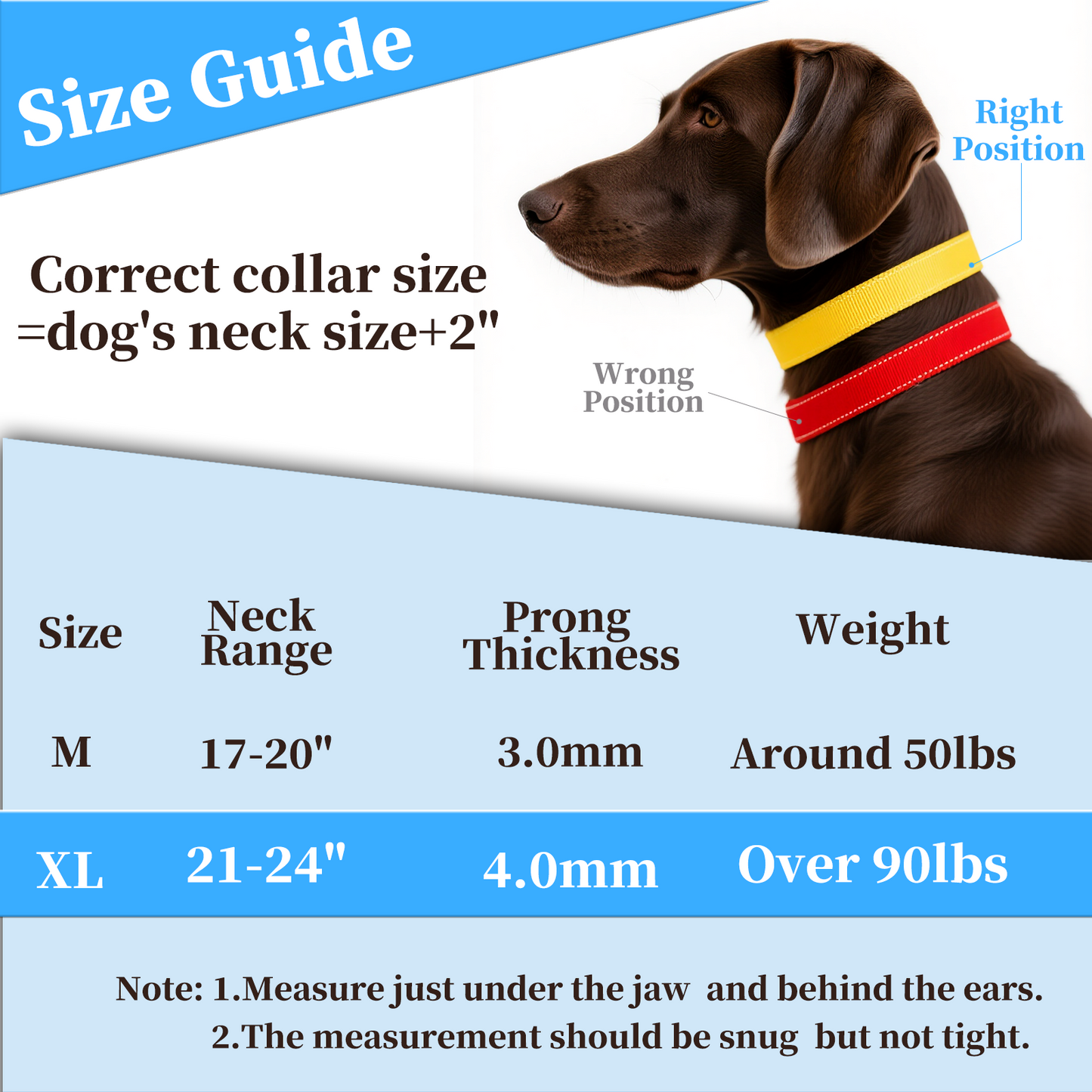 Stainless Steel Prong Training Collar with Rubber Tips & Quick Release