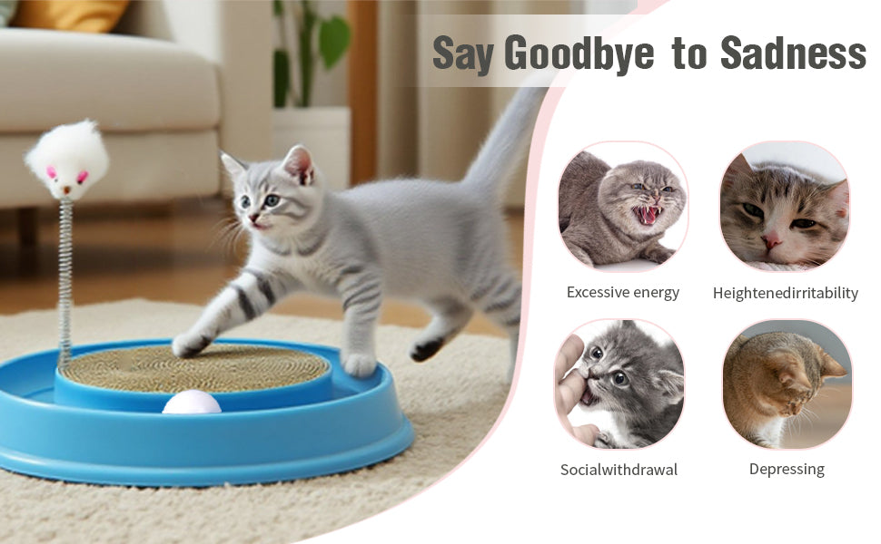 Cat Round Scratcher,3 In 1 Interactive Kitten Toys
