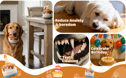 Squeaky Plush Birthday Cake Dog Toy