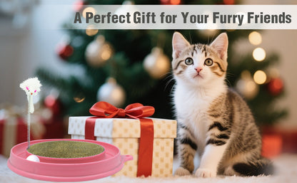 Cat Round Scratcher,3 In 1 Interactive Kitten Toys
