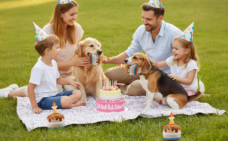 Squeaky Plush Birthday Cake Dog Toy