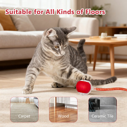 2-Pack Automatic Rolling Cat Ball Toy with Feather Tail - 3 Modes