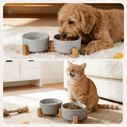 Ceramic Dog and Cat Bowl Set with Wooden Stand, Elevated Feeding Bowls for Cats & Small Dogs