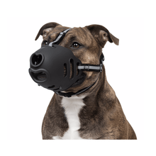 Soft Breathable Dog Muzzle – Adjustable Mesh Muzzle for Grooming & Training