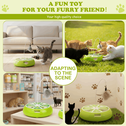 Interactive Hide-and-Seek Cat Toy with Moving Feather – Rechargeable Hunting Toy