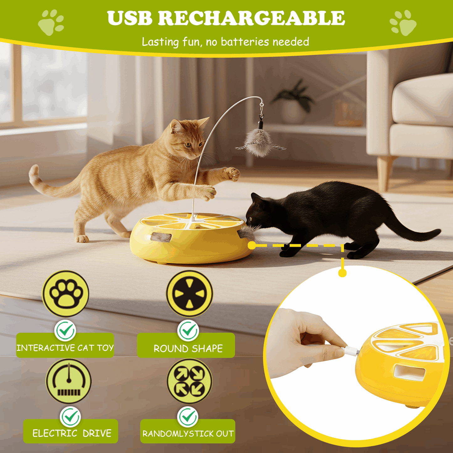 Interactive Hide-and-Seek Cat Toy with Moving Feather – Rechargeable Hunting Toy