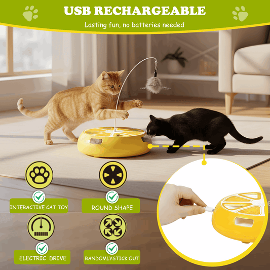 Interactive Hide-and-Seek Cat Toy with Moving Feather – Rechargeable Hunting Toy
