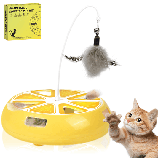 Interactive Hide-and-Seek Cat Toy with Moving Feather – Rechargeable Hunting Toy