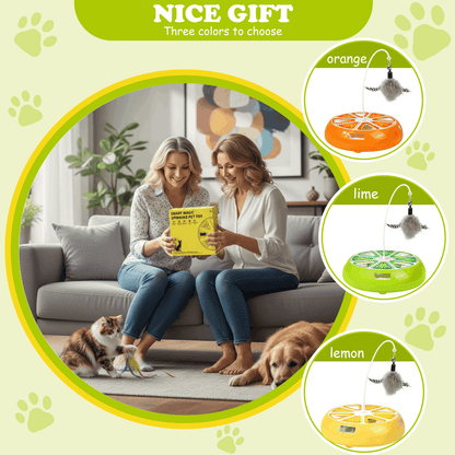 Interactive Hide-and-Seek Cat Toy with Moving Feather – Rechargeable Hunting Toy