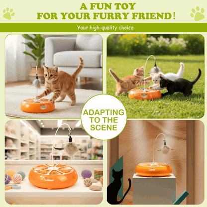 Interactive Hide-and-Seek Cat Toy with Moving Feather – Rechargeable Hunting Toy