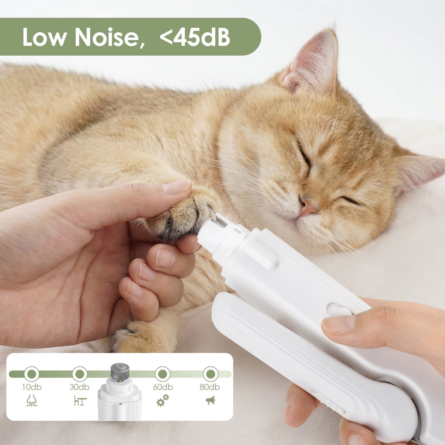 2-in-1 Pet Nail Clippers & Grinder with LED Lights for Cats & Dogs