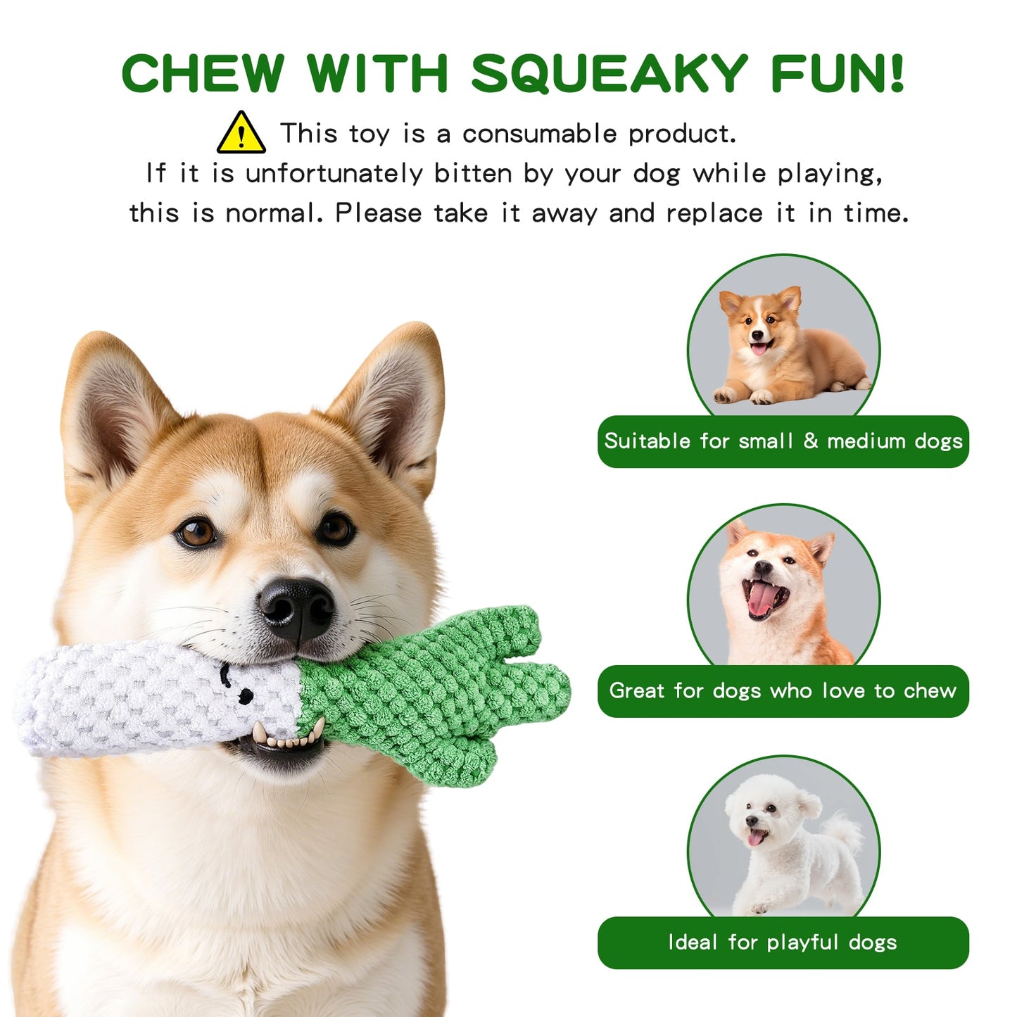 3-Pack Plush Squeaky Dog Toys for Small & Medium Dogs
