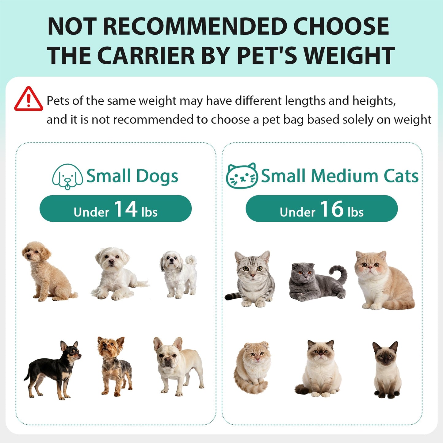Expandable Rolling Pet Carrier for Small Dogs & Cats – Airline Approved Travel Bag