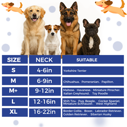 Soft Inflatable Dog Cone Alternative - Comfort Recovery Collar