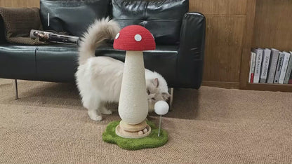 Mushroom Cat Scratching Post with Track Ball & Spring Toy