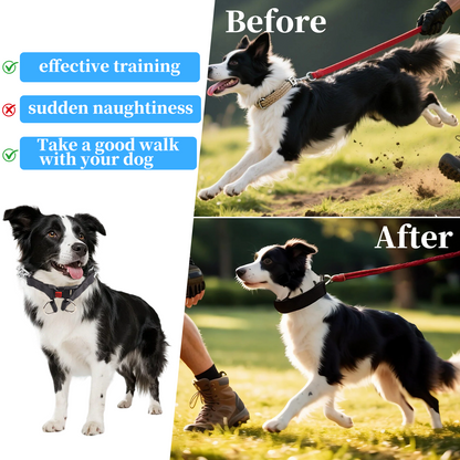 Stainless Steel Prong Training Collar with Rubber Tips & Quick Release