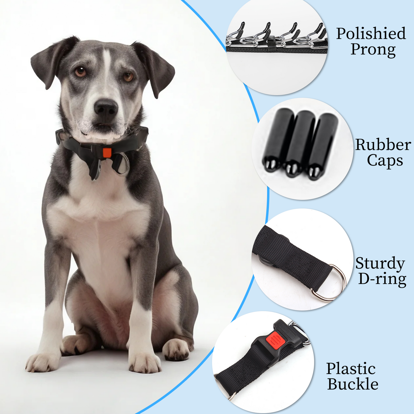 Stainless Steel Prong Training Collar with Rubber Tips & Quick Release
